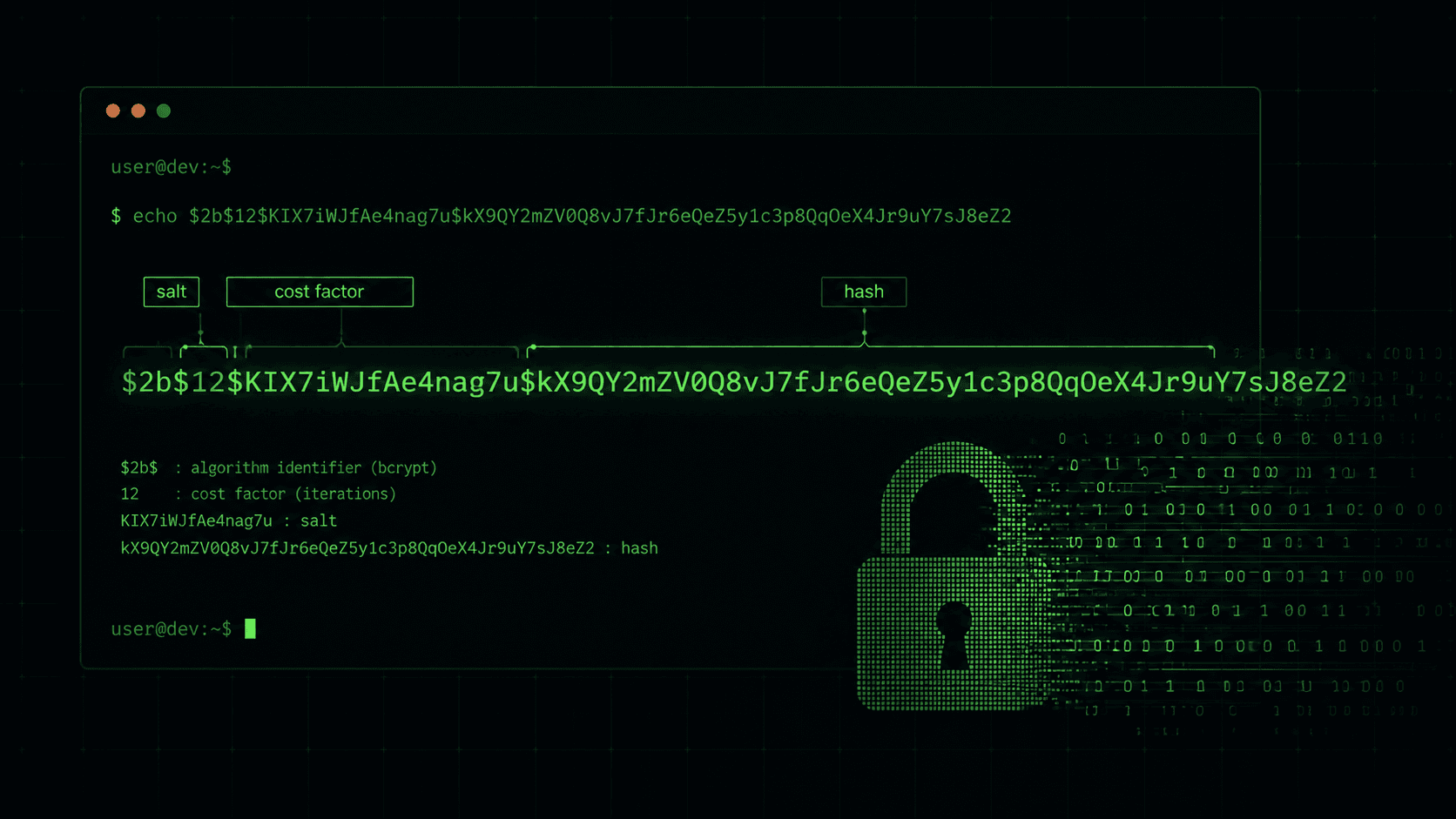 Password Hashing with Bcrypt in Node.js